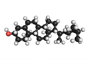 Cholesterol molecule lipid organic 3D render chemical structure