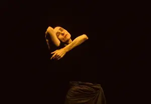 Cafe Prints: choreograph and ballet dancer Pina Bausch dancing her own piece Cafe Mueller