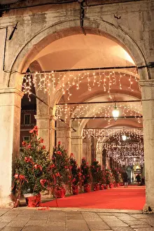 Venezia Prints: Christmas lights at night, restaurant Naranzaria, Venice