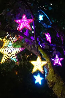 Bright Light Prints: Christmas lights in a tree, Shanghai, China