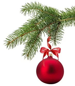 Bauble Prints: Christmas tree branch with red ball isolated on the white background