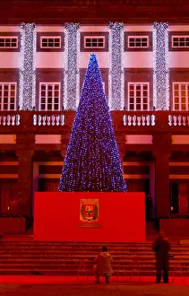 Canary Prints: Christmas tree lights illuminated by hydrogen fuel cell battery in plaza Santa Ana in Las Palmas on Gran Canaria