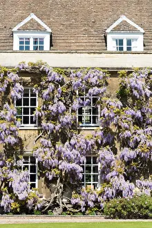 Christ's College, Cambridge, UK