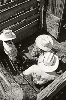 Action Prints: Behind the chutes at the Carbon Alberta Canada Rodeo. Circa 1981