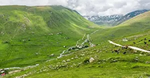 Blacksea Prints: Cicekli Plateau in Camlihemsin district of Rize province