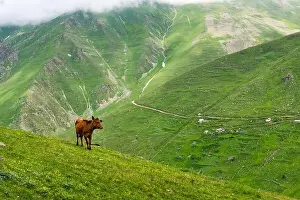 Blacksea Prints: Cicekli Plateau in Camlihemsin district of Rize province