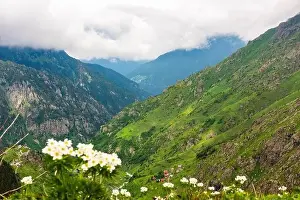 Blacksea Prints: Cicekli Plateau in Camlihemsin district of Rize province