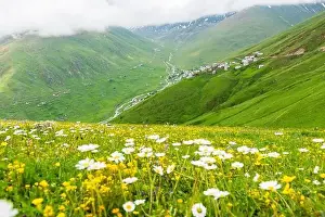Blacksea Prints: Cicekli Plateau in Camlihemsin district of Rize province
