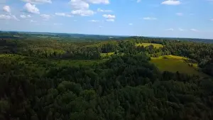 Blue Hill Prints: Cinematic aerial shot of an endless hills and forest landscape in southern Slovenia