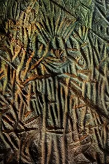 Circa 6000BC Neolithic stone carved petroglyphs of the Early Harrapan culture at Edakkal Caves; Edakkal