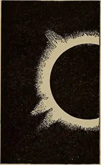 Bookyear1892 Prints: The three circuits: a study of the primary forces