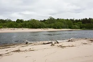 City Carnikava, Latvia. Green nature in summer with River Gauja and waves. 03.06.2020