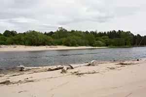 City Carnikava, Latvia. Green nature in summer with River Gauja and waves. 03.06.2020