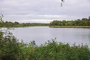 City Carnikava, Latvian Republic. Green nature in summer with River Gauja and waves. Travel photo. Sep 04. 2019
