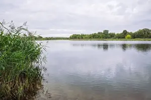 City Carnikava, Latvian Republic. Green nature in summer with River Gauja and waves. Travel photo. Sep 04. 2019
