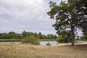 City Carnikava, Latvian Republic. Green nature in summer with River Gauja and waves. Travel photo. Sep 04. 2019