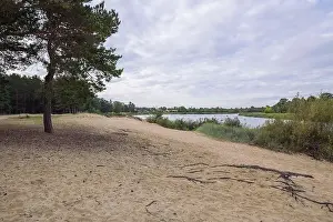 City Carnikava, Latvian Republic. Green nature in summer with River Gauja and waves. Travel photo. Sep 04. 2019