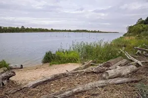 City Carnikava, Latvian Republic. Green nature in summer with River Gauja and waves. Travel photo. Sep 04. 2019