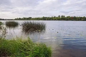 City Carnikava, Latvian Republic. Green nature in summer with River Gauja and waves. Travel photo. Sep 04. 2019