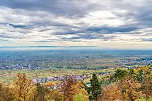 Sunrise River Prints: A city can be seen in the distance under a cloudy sky from a hill covered with trees in the foreground