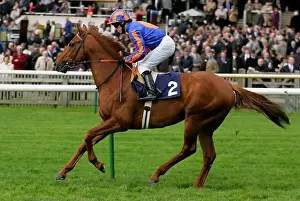 Mile Prints: CITY OF TROY RIDDEN BY K.FALLON ROWLEY MILE COURSE NEWMARKET ENGLAND 20 April 2006