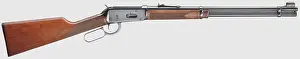 Firearms Prints: Civil long arms, modern systems