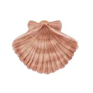 Ribbed Prints: Clam shell, sea and river scallop
