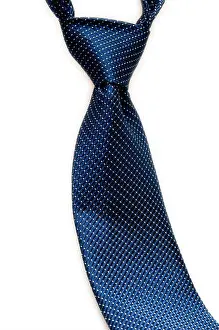 Well Dressed Prints: Classic Blue Micro Dot Patterned Necktie with Windsor Knot