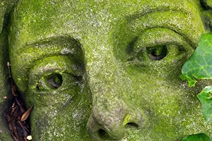 Natural Textures Prints: Classic statue at the leaves density