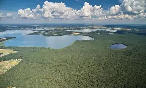 Green Day Prints: Clean big lake in forest landscape aerial drone view
