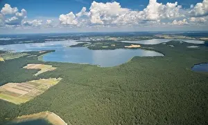 Clean ecological natural background aerial drone view
