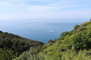 Cinque Terre Prints: Clear blue sea and sky with a boat speeding across the landscape view seen from a trekking trail between the villages