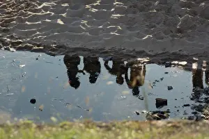 Terrestrial Prints: A clear reflection of human silhouettes in a puddle of water on the beach sand during sunset