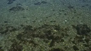 Emerald Prints: Clear shallow waters with rocky seabed illuminated by sunlight in porto cesareo