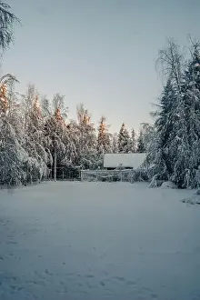 Boreal Prints: Clearing in snowy forest next to animal enclosure in Ranua, Lapland