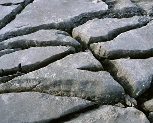Burren Prints: Clints and grikes in limestone pavement The Burren County Clare Republic of Ireland