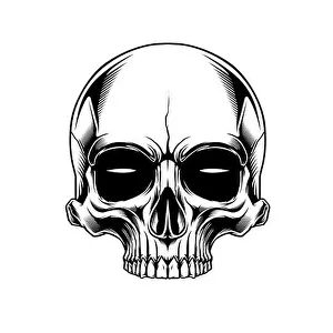 Skull Prints: clip art anatomy skull in beground white