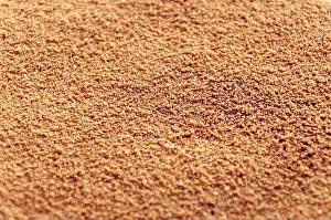 Grains Prints: Close up of Biscuit rich golden crumbs
