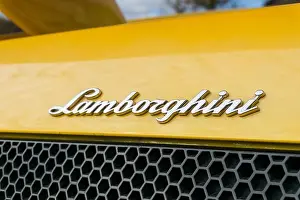 Coupe Prints: Close up detail of the brand name badge logo on rear of a yellow Lamborghini Murciélago LP 640