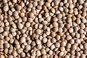 Close up brown lentil seeds background. Healthy vegeterian food. Texture