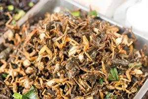 Crisp Prints: close up exotic crispy lizard fry on street food