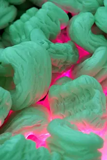 Warehouses Prints: Close up of many green packing peanuts with a pink glowing background abstract