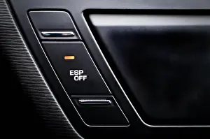 Picasso Prints: Close up inside car, button to disable traction control ESP
