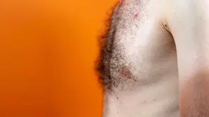 Unshaven Prints: Close up of male hairy chest. Part of body with hair