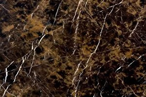 Images Dated 13th July 2017: Close up of marble pattern with veins useful as background or te