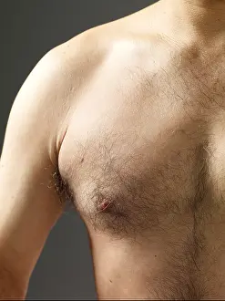Body Care Prints: Close up of mature mans hairy chest