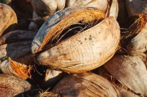 Coconuts Prints: Close up picture of dried coconut husks, selective focus