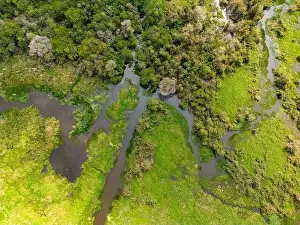 Caiman Prints: Close-up drone shot of the bright green flooded grasslands of the Pantanal in Brasil