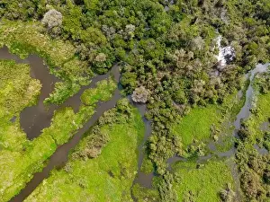 Caiman Prints: Close-up drone shot of the bright green flooded grasslands of the Pantanal in Brasil