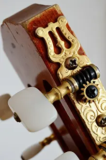 Tuning Prints: close-up head guitar neck with tuning pegs